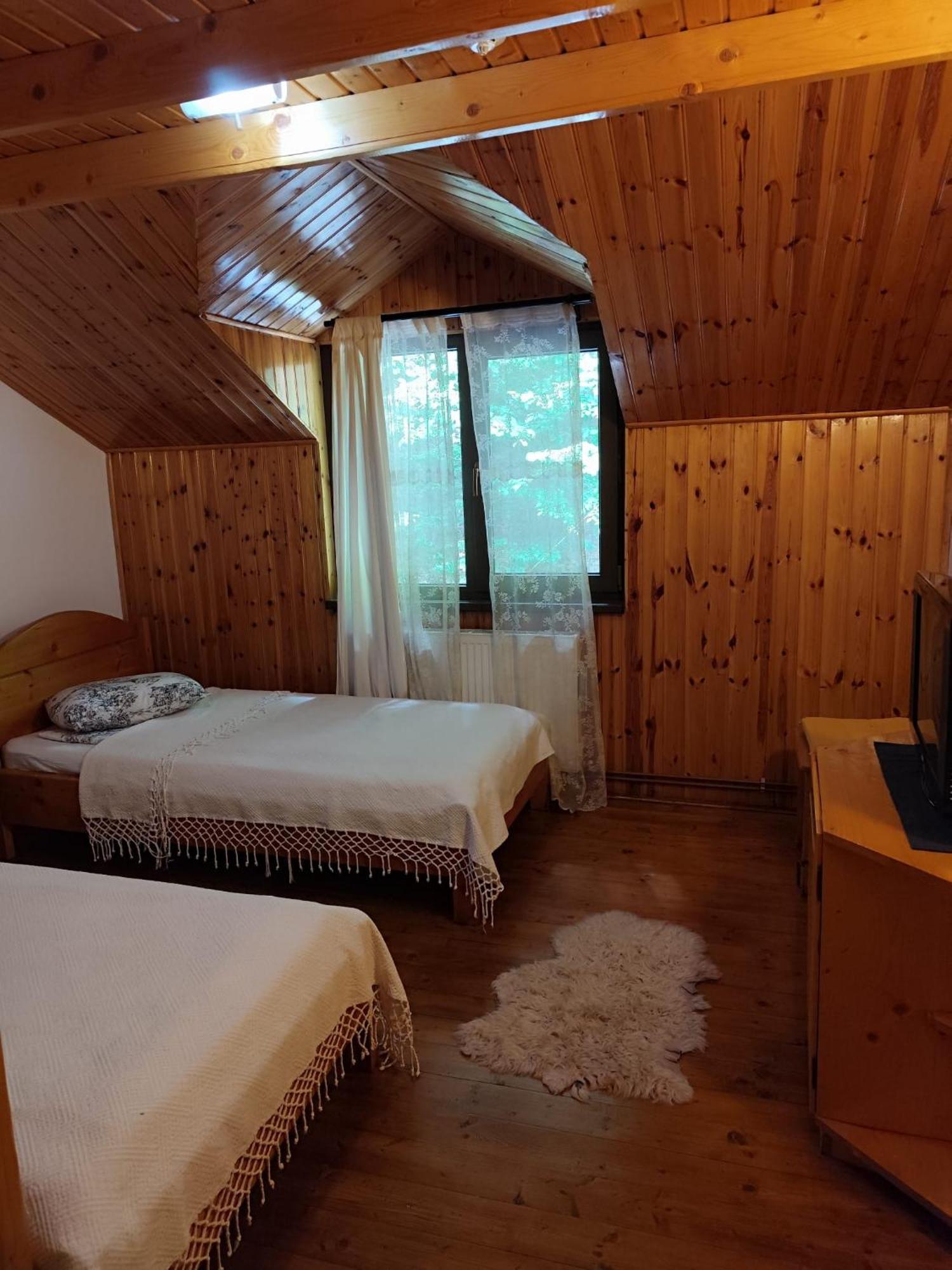 Cabana Frasin Dragoslavele Exterior photo