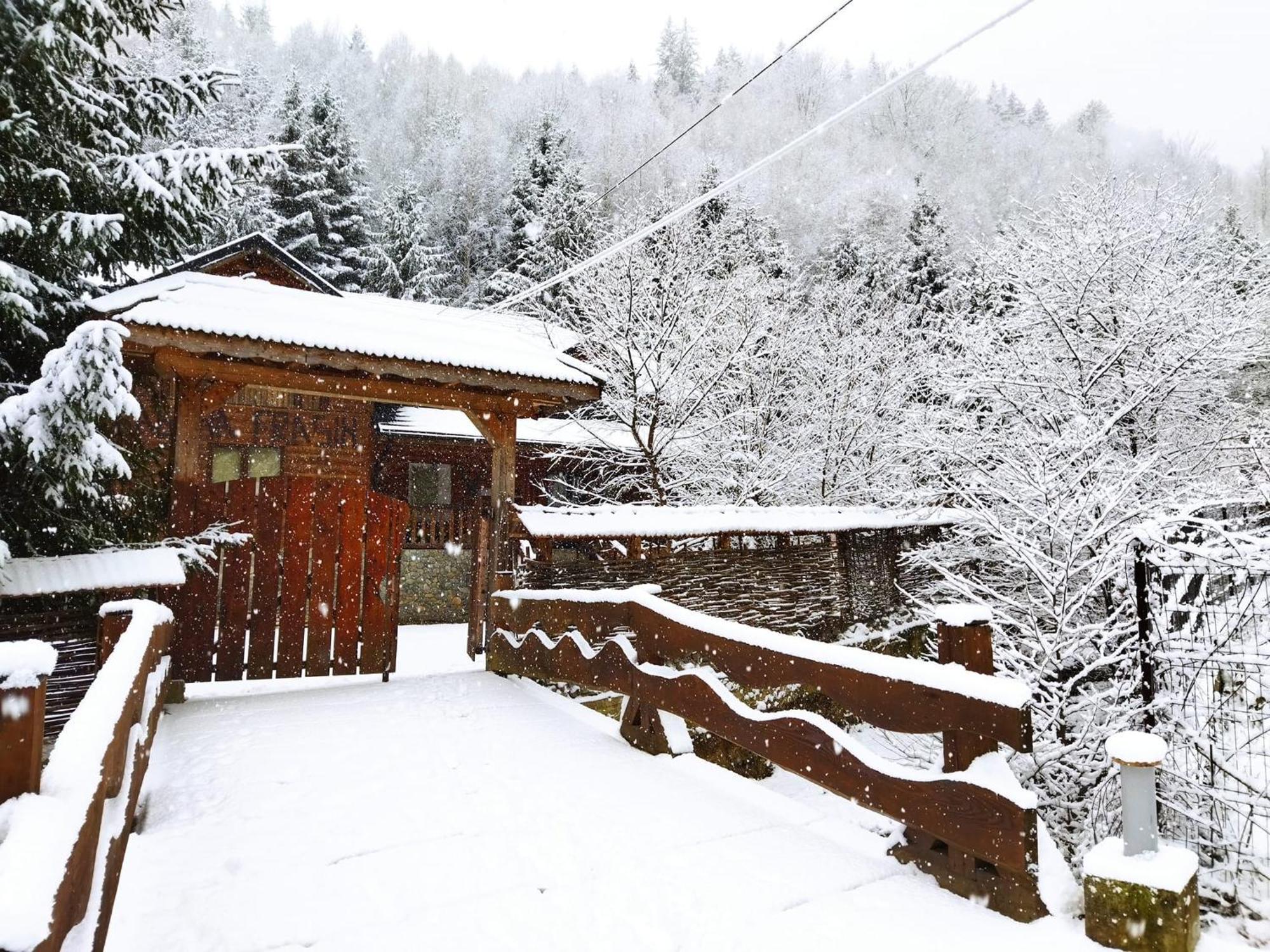 Cabana Frasin Dragoslavele Exterior photo